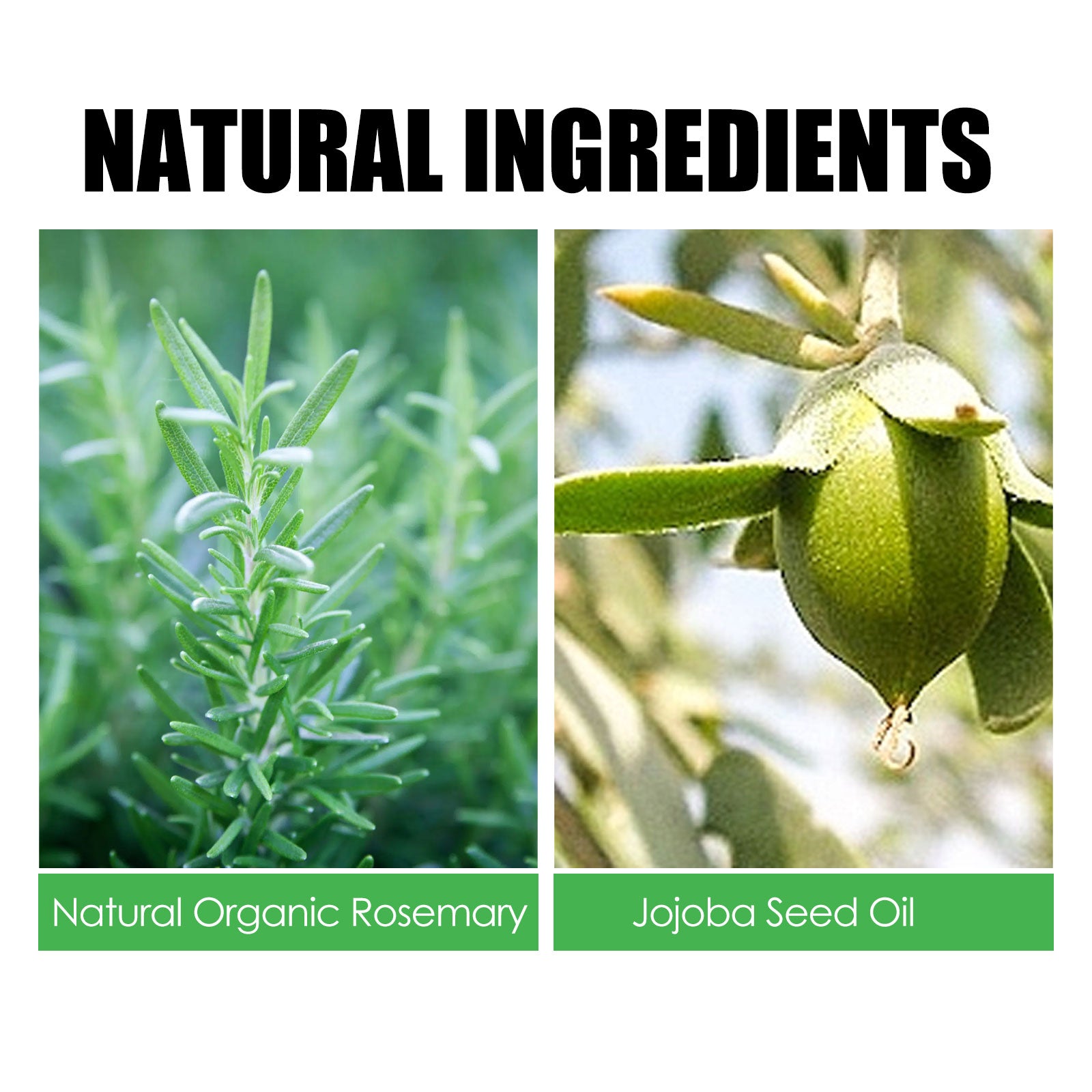 Rosemary Hair Care Nourish Hair Soft Fluffy Strong Moisturizing Root Hair Care Gift Set eprolo